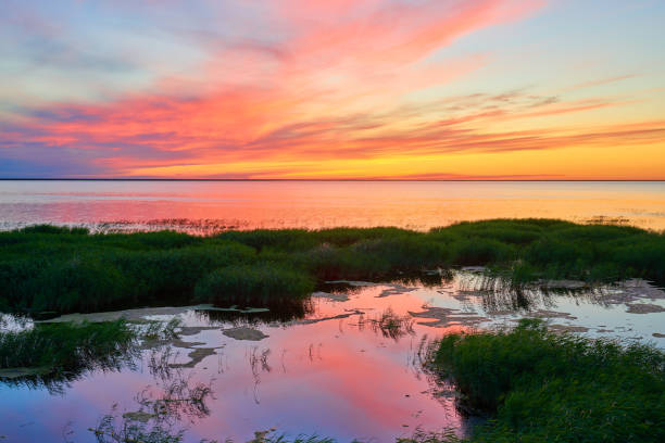 The lake is situated within the Korgalzhyn State Nature Reserve, 170 km  southwest of Astana. Kazakhstan.
