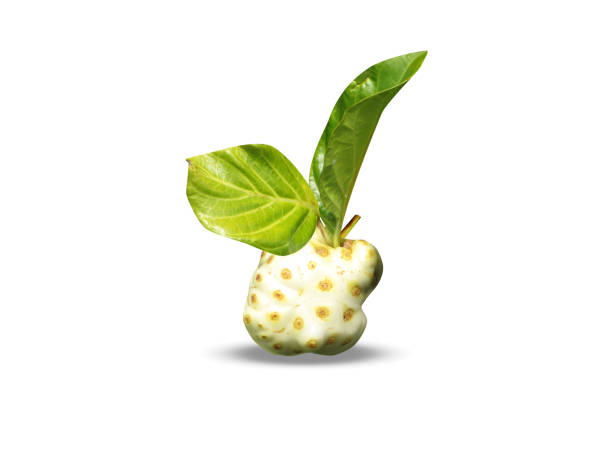 Morinda mulberry or great morinda fruits isolated on white background