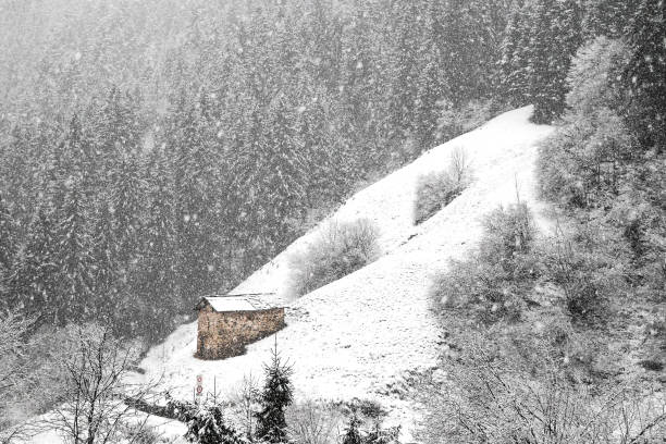 Küre Mountains National Park