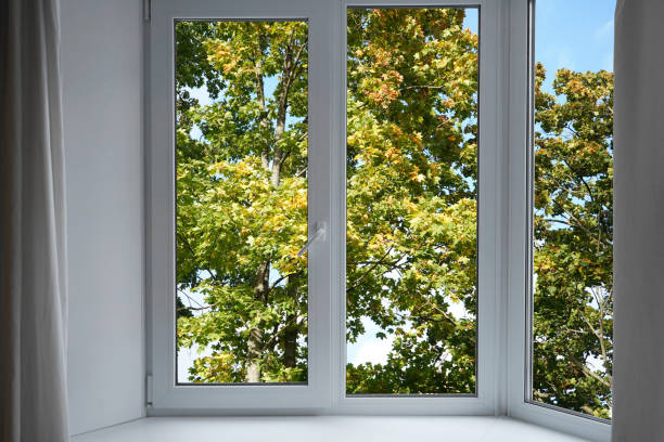 istock View from the window on the garden green trees. 2196716105
