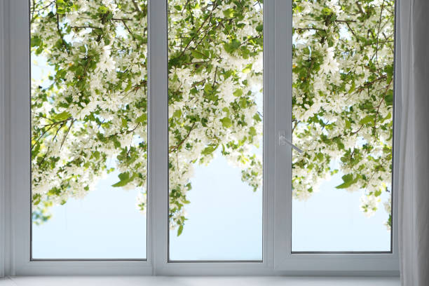 istock View from the window on the garden plum trees in blossom. 2196716109