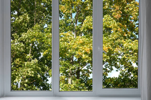 istock View from the window on the garden green trees. 2196716115