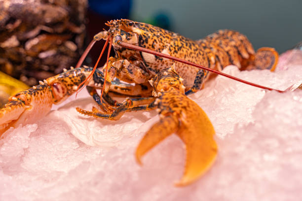lobster and fresh fish are displayed on crushed ice at a farmer's market stall, showcasing a healthy, fresh seafood selection for a vibrant lifestyle and nutrition