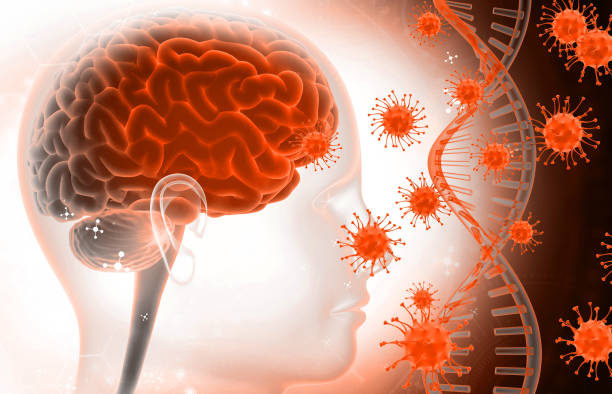 istock Human brain anatomy with DNA and virus 2196719465