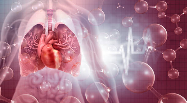 istock Human respiratory system anatomy on abstract scientific background 2196719787