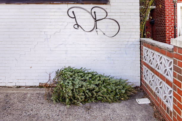 Long Island City, Queens, New York, United States - January 10th 2025:  Discarded Christmas tree laying at the front yard outside a house in a residential district