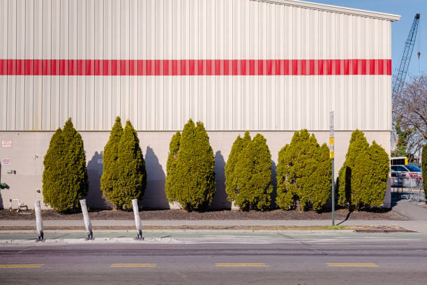 Empty asphalt parking lot of a commercial building