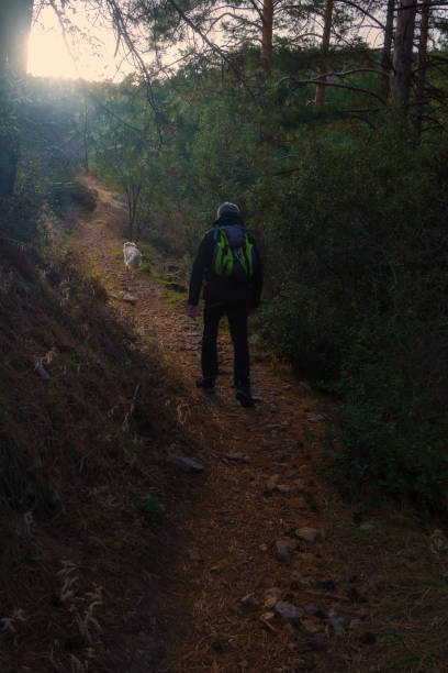istock Hiker Walking on Forest Trail with Dog in Morning Light 2196726366