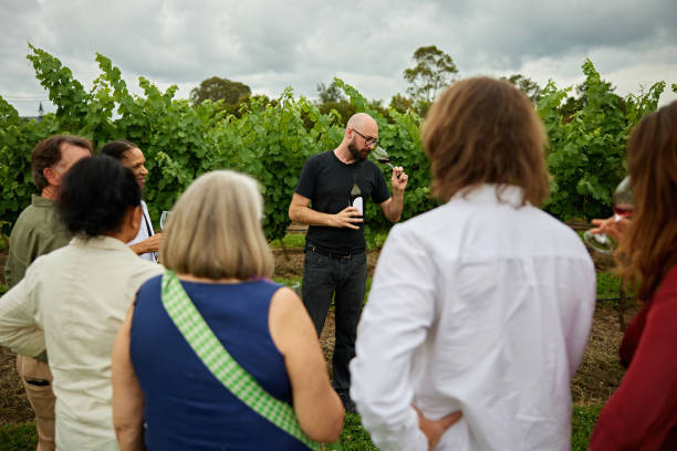 istock Wine tasting tour in Hunter Valley, New South Wales 2196728424