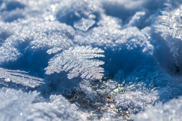 istock Frost flowers in winter 2196731056