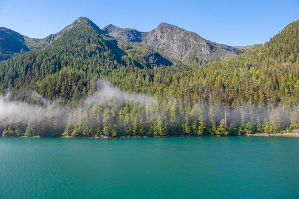 istock Inside Passage Cruise Nature, British Columbia, Canada 2196731715