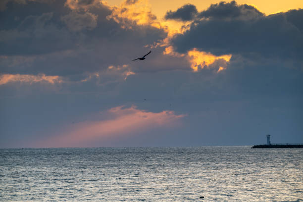 istock Sunrise in Geoje Island 2196731939
