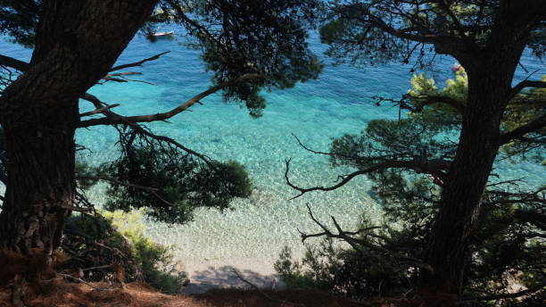 istock Turquoise water, Adriatic sea, Croatia 2196733637
