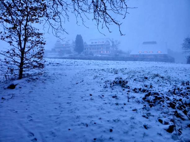 The Clinic Hohenegg was orginally founded and built as a psychiatric hospital in Meilen next to the Lake Zurich. 2006 the Clinic was privatized and rendamed as \
