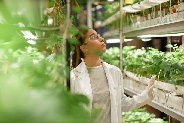 istock Monitoring Plants in Indoor Hydroponic Greenhouse 2196741224