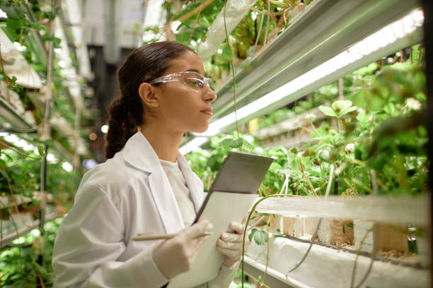 istock Inspecting Plant Growth in Vertical Farming Environment 2196741267