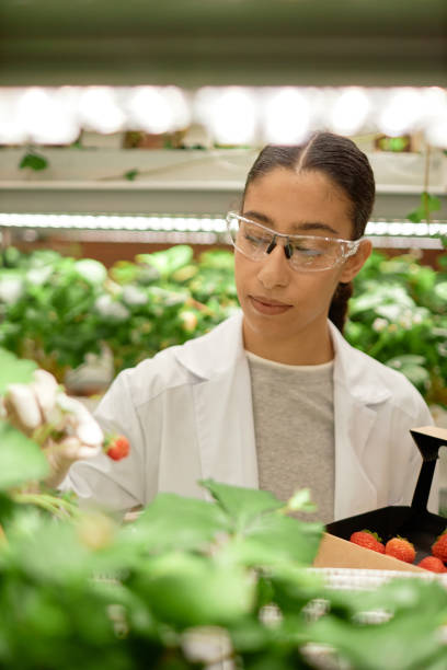 istock Conducting Research in Modern Biological Laboratory 2196741280