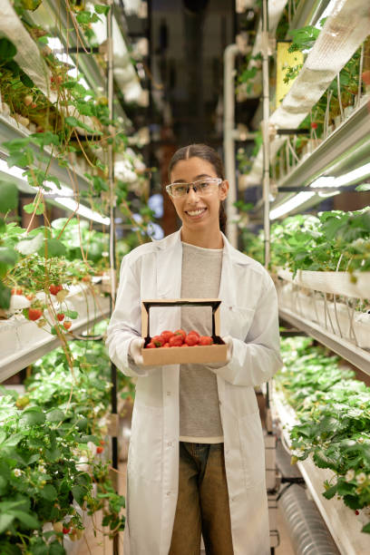 istock Smiling Scientist Holding Fresh Strawberries in Greenhouse 2196741307