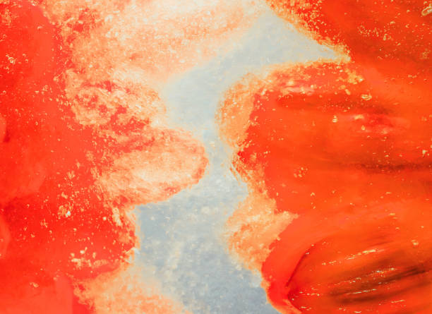 Close up macro color image depicting yellow/orange flowers beneath the ice.