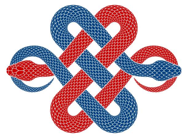 Vector tattoo design of two intertwined snakes biting their tails in the form of endless knot symbol. Isolated black serpent silhouette as buddhist infinite sign. Vector illustration of two intertwined snakes biting their tails in the form of infinity knot symbol. Black serpent silhouette as traditional buddhist sign. Isolated tattoo design. infinity-snake stock illustrations