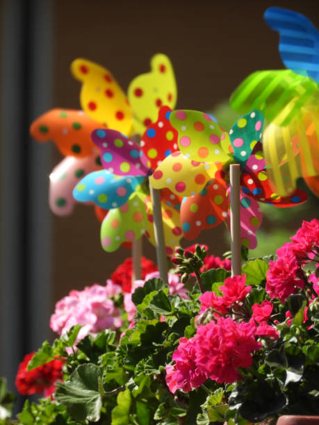 istock colorful toy windmills in the pot between blooming geraniums 2196755085