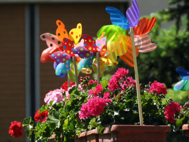 istock colorful toy windmills in the pot between blooming geraniums 2196755095