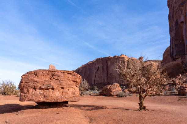 A Tree and a Sandstone Rock Pillar in Monument Valley Arizona Navajo Nation