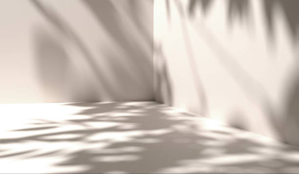 istock White room interior for background with soft shadows. Empty white room background with soft sunlight. Tree with leaf shadows. Minimal template with blurred leaf shadows on white wall. 3d rendering. 2196760235