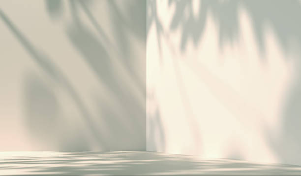 istock White room interior for background with soft shadows. Empty white room background with soft sunlight. Tree with leaf shadows. Minimal template with blurred leaf shadows on white wall. 3d rendering. 2196760256