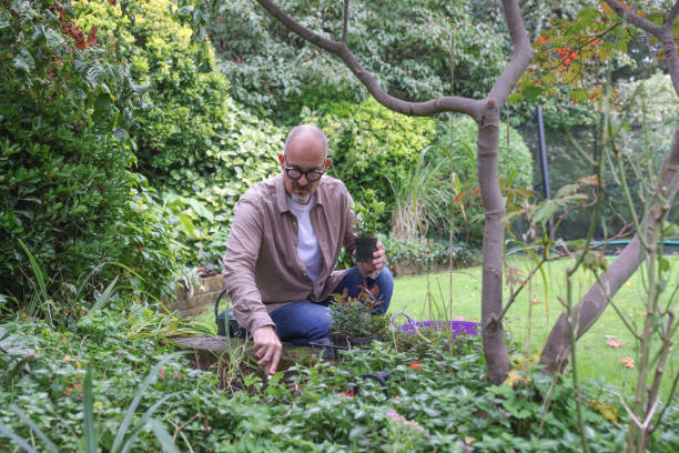 istock Mature man planting in garden 2196760675