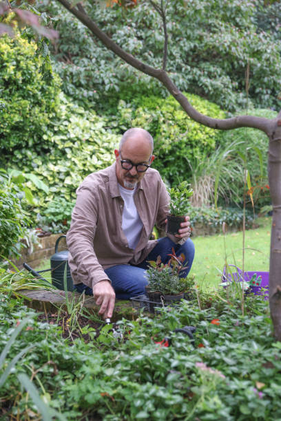 istock Mature man planting in garden 2196760869