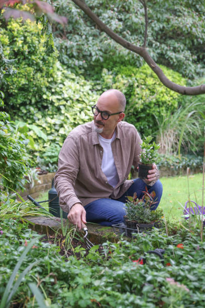 Mature man planting in garden