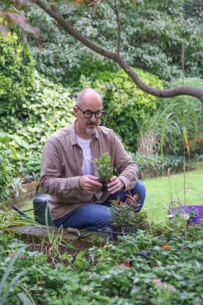 istock Mature man wearing eyeglasses gardening 2196760929