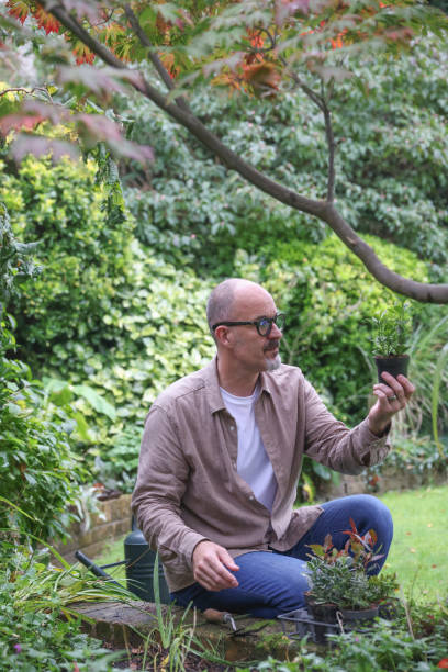 istock Mature man wearing eyeglasses gardening 2196760934