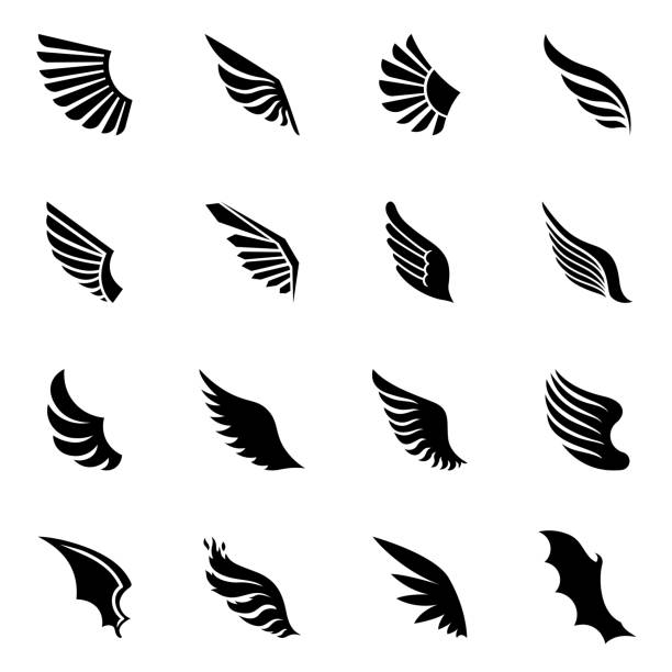 flügel symbole. - schwingen stock-grafiken, -clipart, -cartoons und -symbole