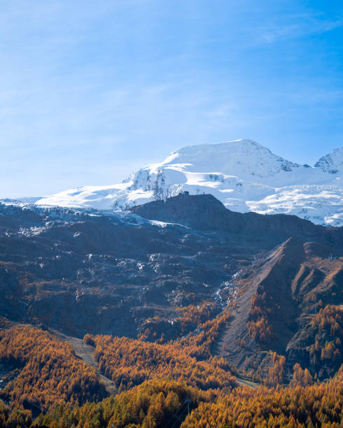 Saas-Fee‘s Indian Summer with forest and glacier