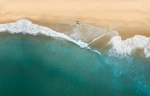 istock Anonymous surfer walking on golden beach near ocean with waves 2196765853