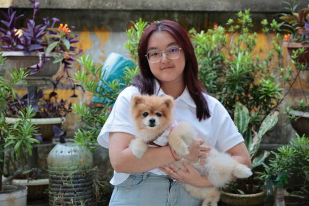 Portrait of an Asian teenage girl with her Pomeranian dog