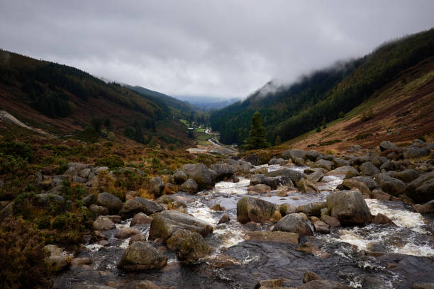 A breathtaking view of a river flowing through the Wicklow Mountains in Ireland, surrounded by rocky terrain, lush forests, and misty hills. The overcast sky adds a dramatic and serene atmosphere to the landscape.