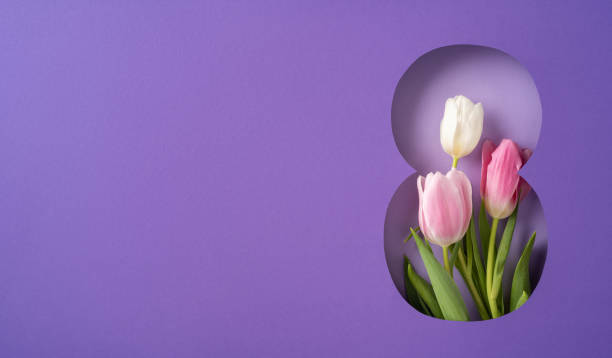 A composition featuring pink and white tulips in an artistic purple background evoking elegance