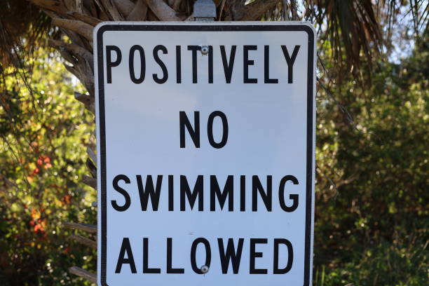 istock Positively no swimming allowed warning sign posted on palm tree trunk 2196779889