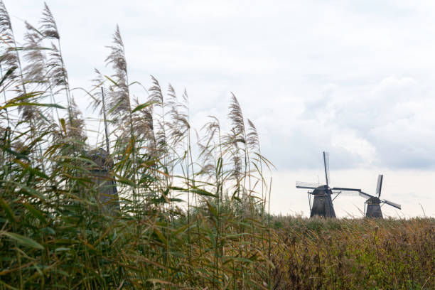 A Windmills with clouds in a Dutch city
