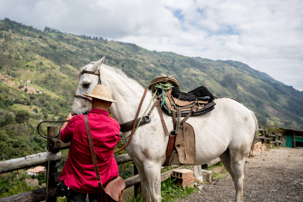 istock Mature man preparing horse on a farm 2196789428