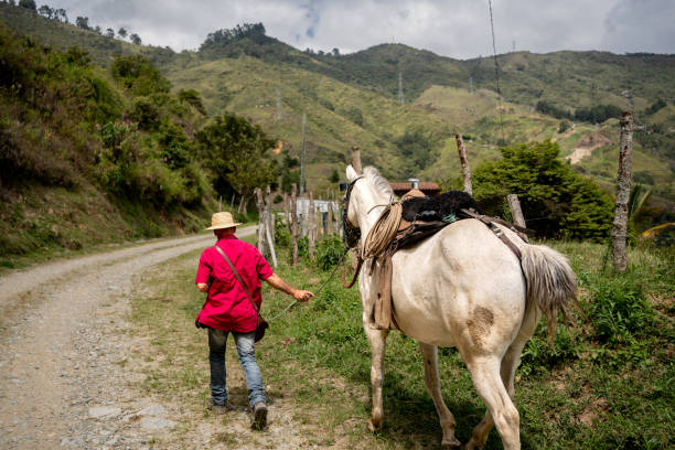 istock Mature man walking with horse on a farm 2196789471