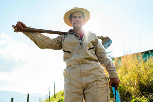 Portrait of a farmer working on a farm