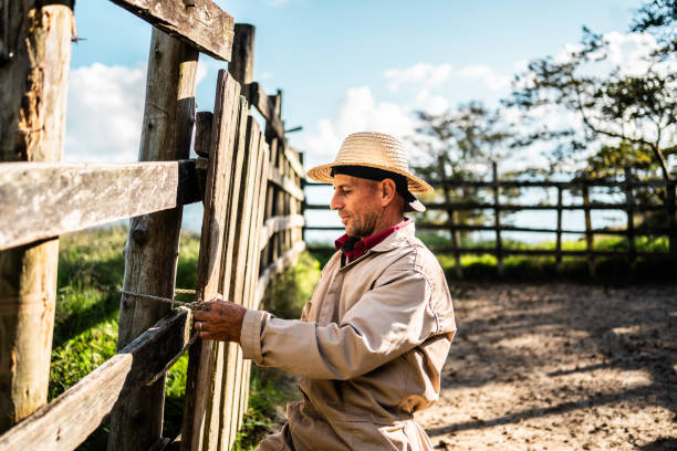 istock Farmer opening the fence on a farm 2196794441