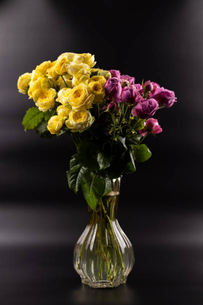 black background with iridescent light there figured glass vase with a large bouquet of yellow and pink peony roses a gift for a beloved woman a favorite color home decoration first date March 8th