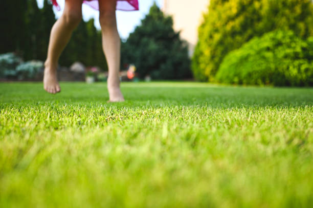 istock Low angle view defocused girl on meadow. 2196799012