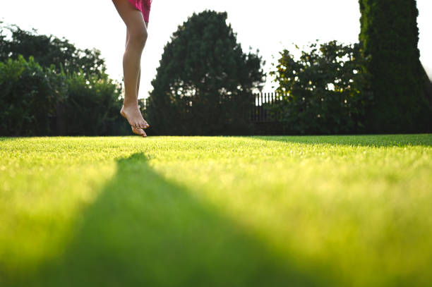 istock Summer at yard green lawn. 2196799018