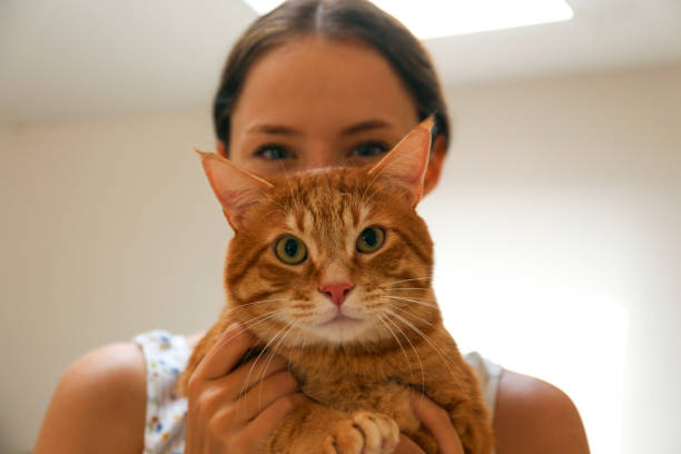 istock Young woman and a cat. 2196799305